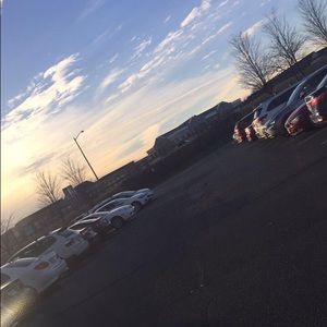 Meet your Posher, Evelyn